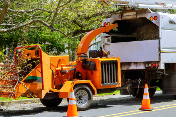 Tree Service Company in Bingham Farms, MI